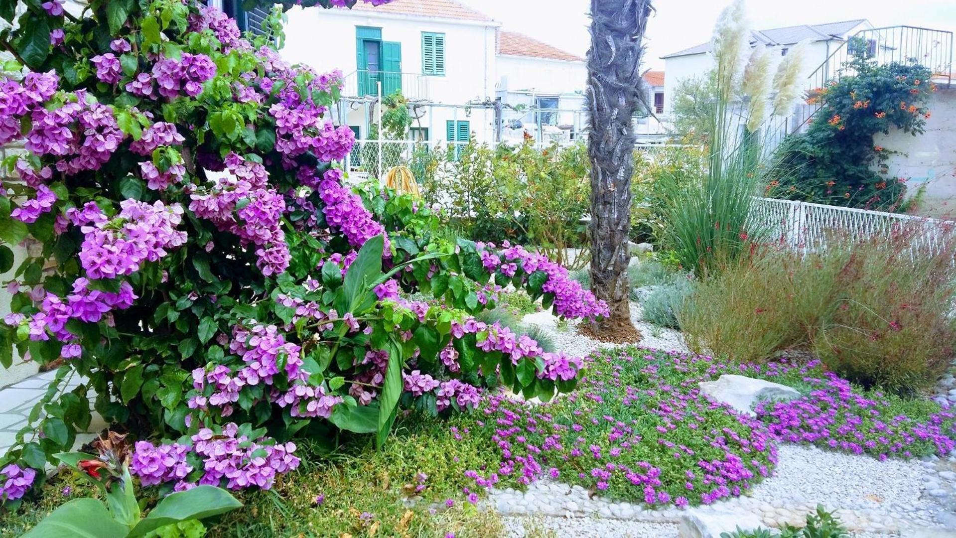 Apartments Mateo - 60M From Sea Primosten Ngoại thất bức ảnh